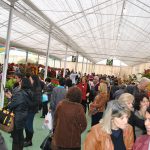 26ª Expo Aflord